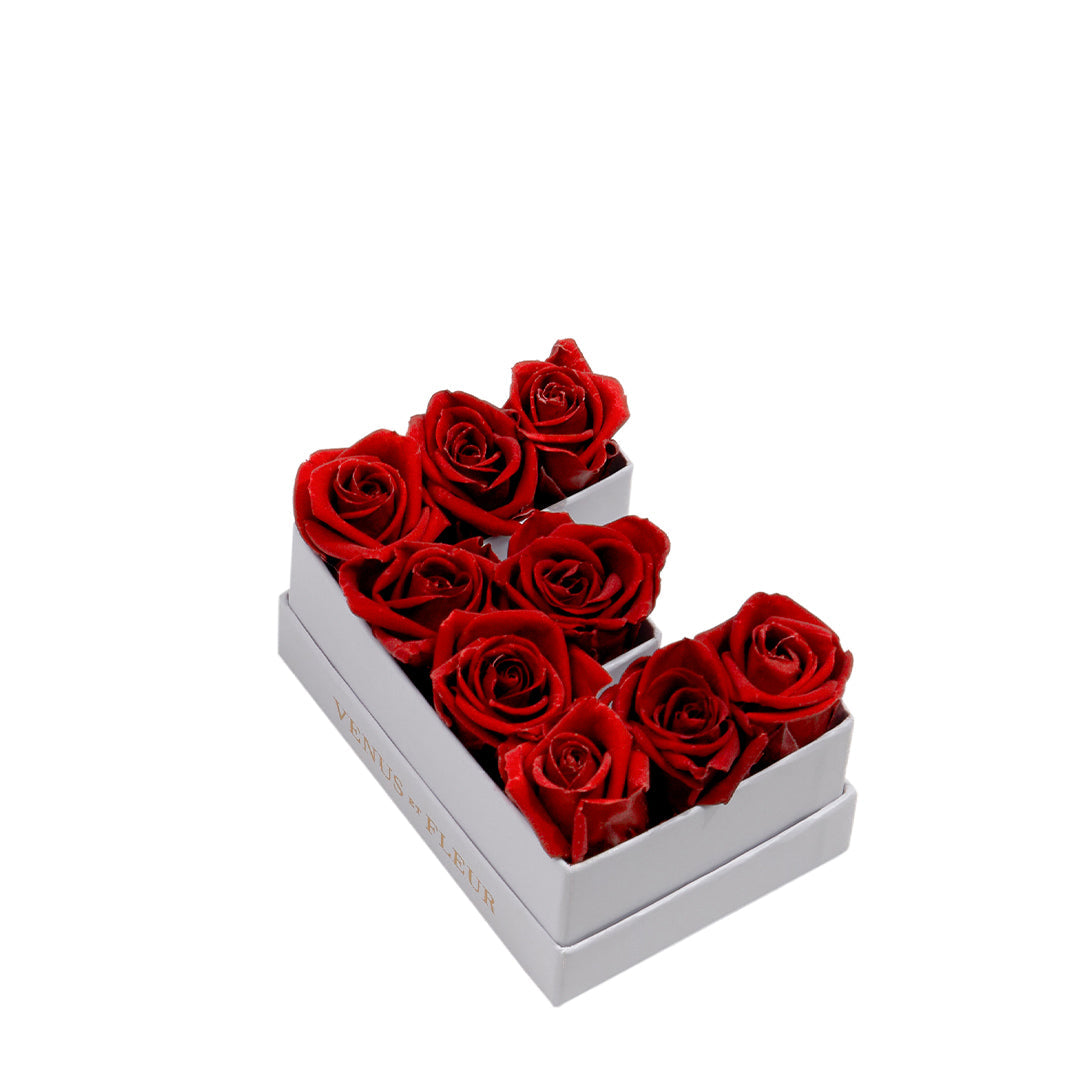 image-with-thumbnail 